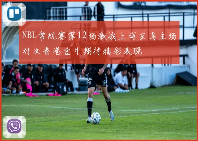 NBL常规赛第12场激战上海玄鸟主场对决香港金牛期待精彩表现
